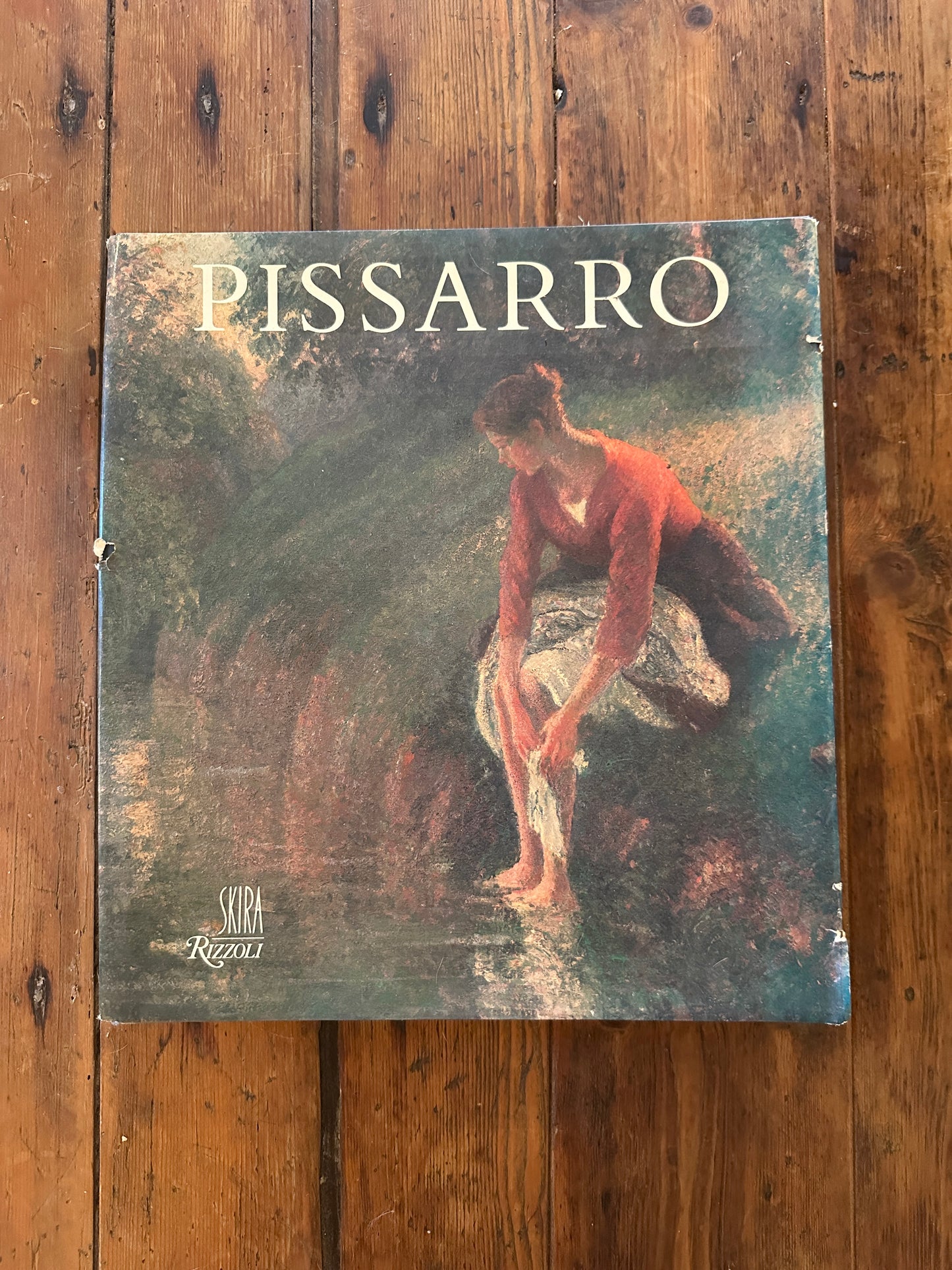 Tripp's Store / BOOKS / Pissarro - Discovering the 19th Century - Christopher Lloyd / Art book