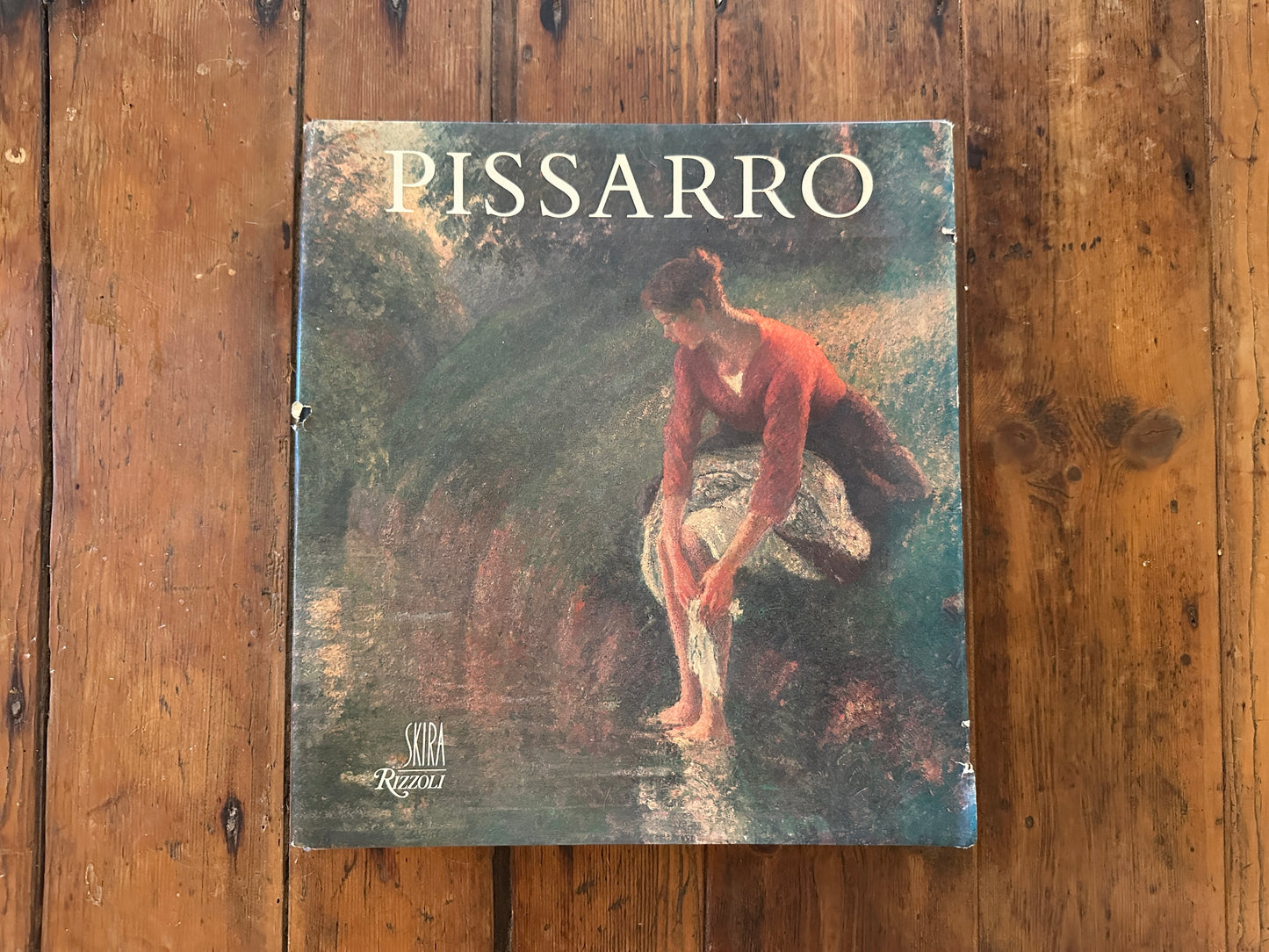 Tripp's Store / BOOKS / Pissarro - Discovering the 19th Century - Christopher Lloyd / Art book